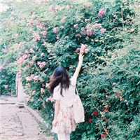 女生简约头像大全