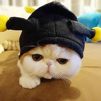 天猫店铺头像在哪里改