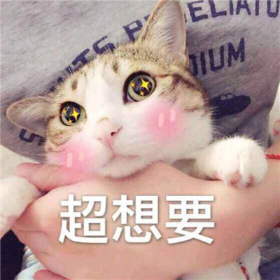 2021诗意网名