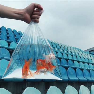 微信头像怎么换教程