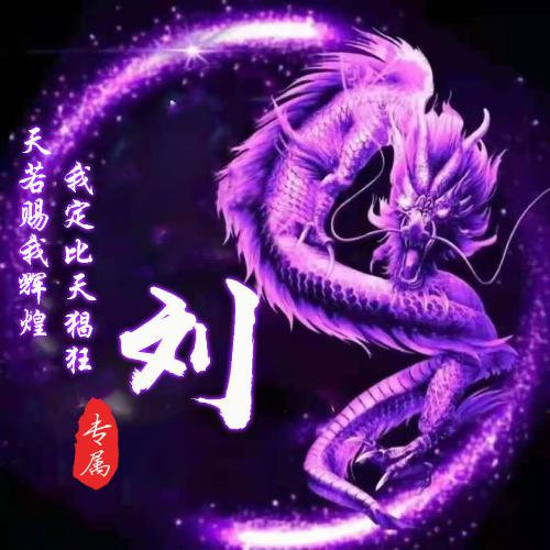 属龙微信头像旺财