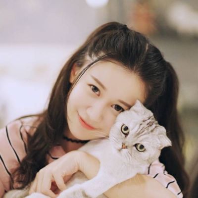 猫动物头像