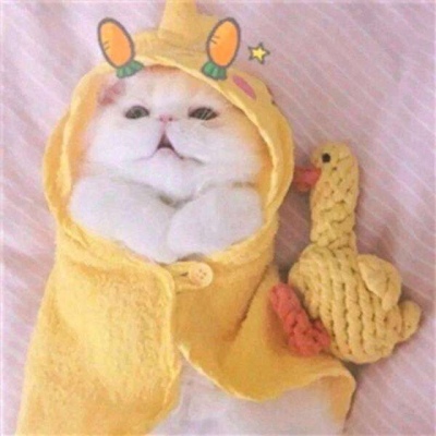 天猫店铺头像在哪里改