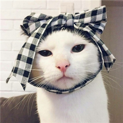 搞笑女头像