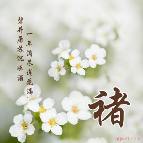漂亮的微信头像女生专用