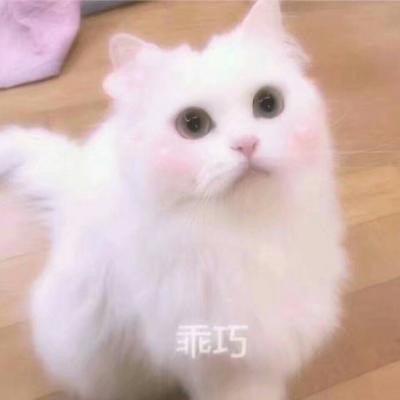有格局大气的微信头像高清
