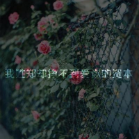 姓氏头像陈女生