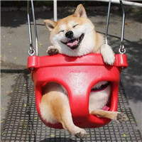 汤姆猫头像