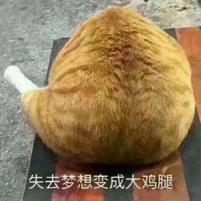怎么判断一个头像是不是情侣头像