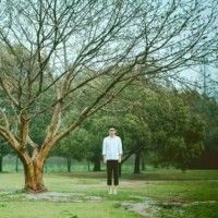 迷你世界qq头像框怎样获得
