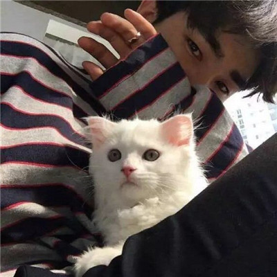 男生头像高清正脸