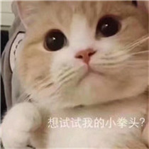最近很火的搞笑头像