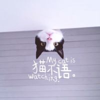 头像风景星空