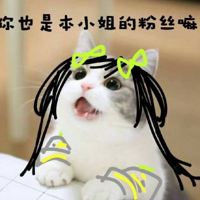 头像图片大全2022搞笑带字