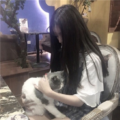 汤姆猫头像图片大全