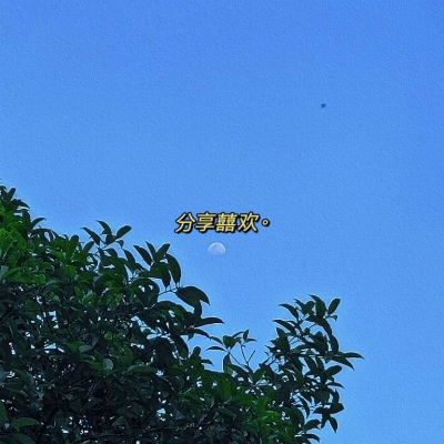 苹果头像图片微信真实