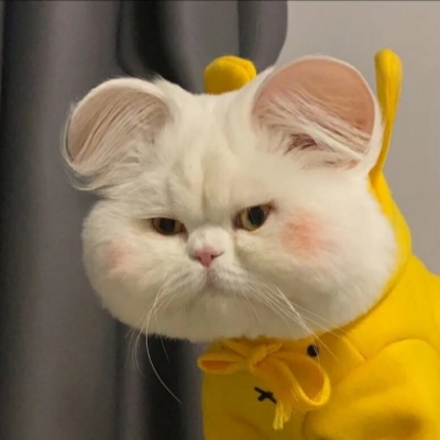 有趣的头像搞笑