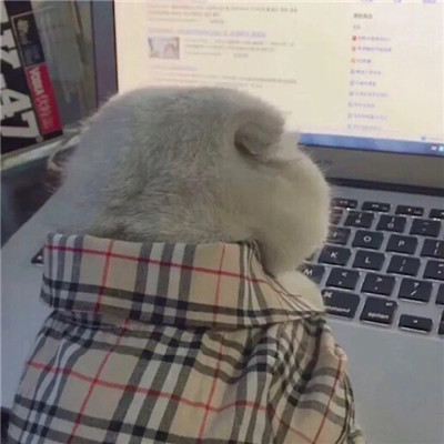 治愈系笑脸图片头像