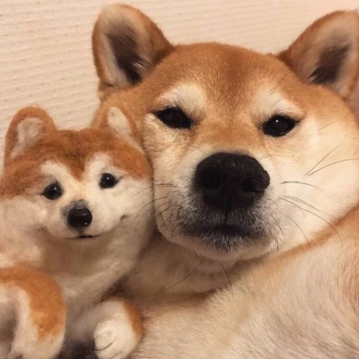 cf好的网名