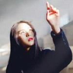 阴阳师金达摩头像框多少钱