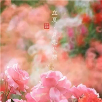 头像ins高级质感自然