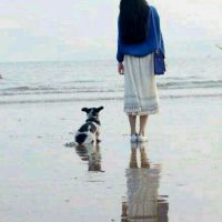 蔡杨组合网名女生