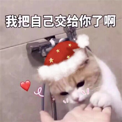 王微信头像图片姓王
