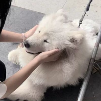 个性网头像情侣