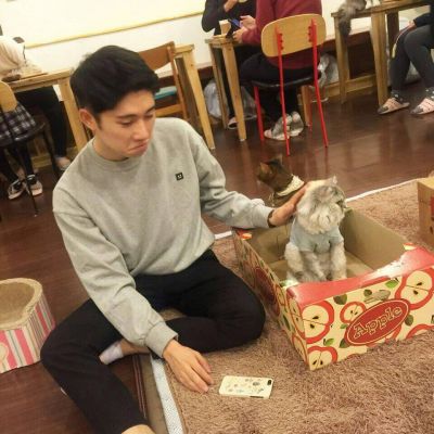张姓头像图片 微信可爱