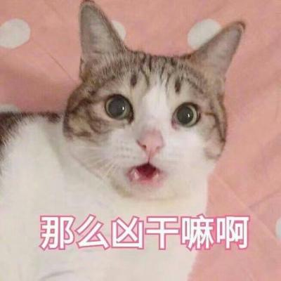 天猫店铺头像logo