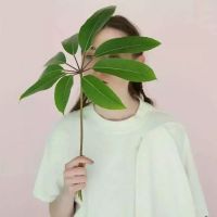 网名古风诗意 女生