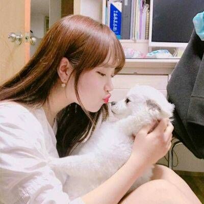 动物头像图片可爱女生