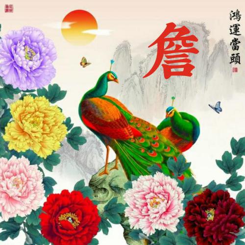 最吸引人独特的微信头像