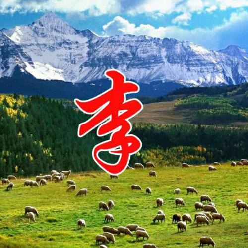 百家姓头像图片姓氏李