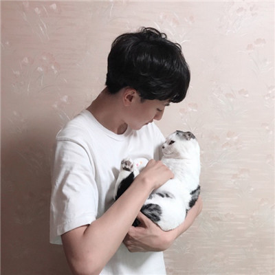 猫羽雫头像