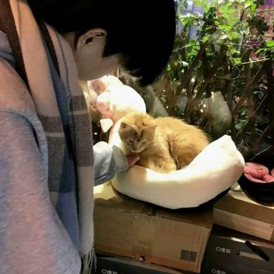 男生高清图片头像真人