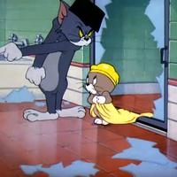 摆烂人专用头像 猫咪动漫