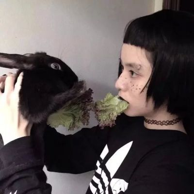 搞笑的谚语qq网名