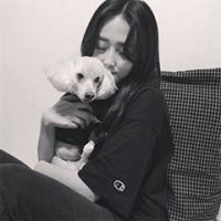 qq头像大全女生伤感