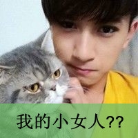 好听幽默的网名