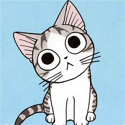 属鼠头像能用猫吗