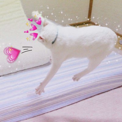 抖音超火头像