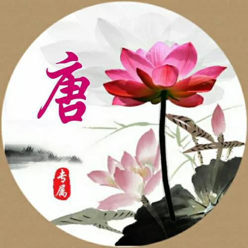 2023年虎年专属姓氏头像