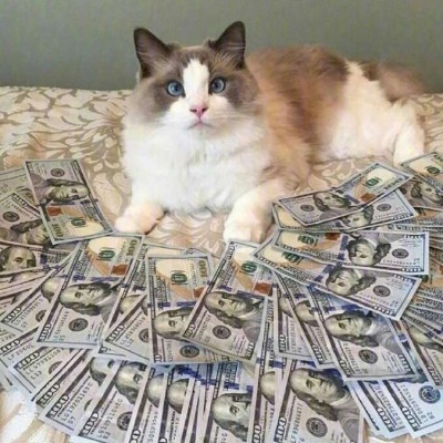 微信头像招财猫