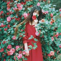 古典文艺的女生网名