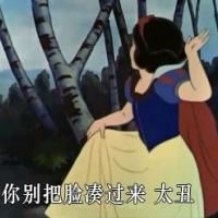 刘耀文头像可爱动漫