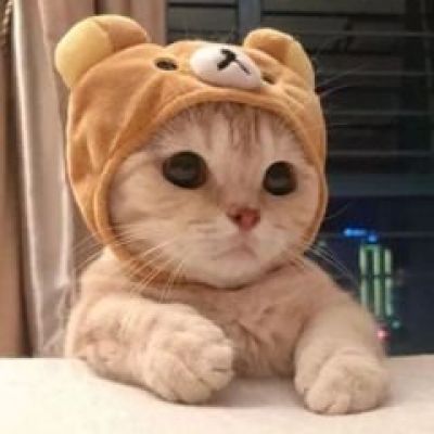 微信头像搞怪搞笑