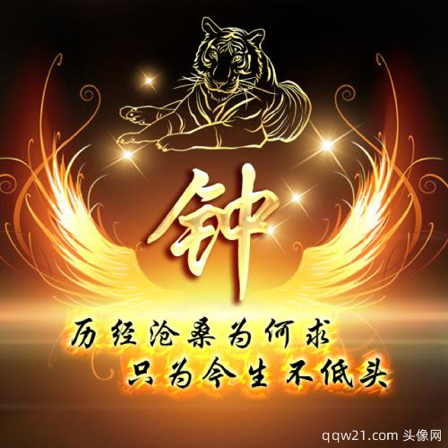 姓氏头像图片2023最火爆张