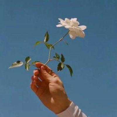 微信头像风水