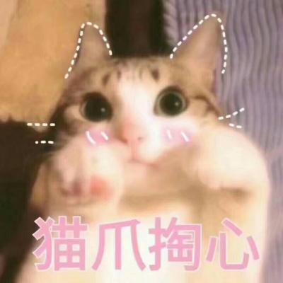 超级逗逼的头像搞笑